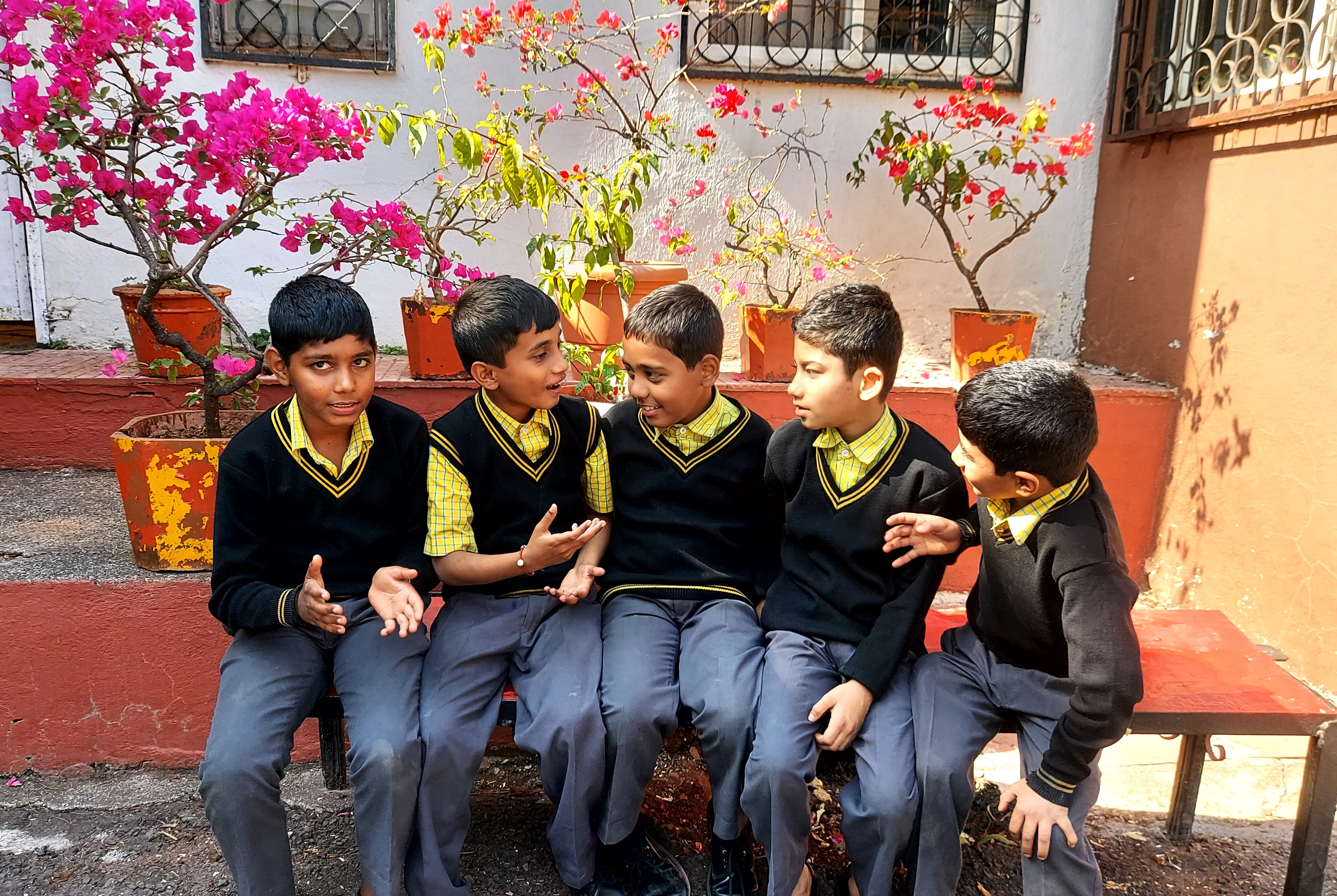 Picsart_25-01-25_12-44-15-365