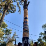 Picsart_25-02-14_11-52-32-401